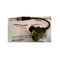 Allen-Bradley 42EFS1JBAF4 Photoelectric Diffuse Sensor
