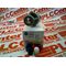 Allen-Bradley 800HLP20M Push Button Type 7 and 9 Pilot Light
