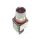 Allen-Bradley 800MRQA24RA Illuminated Momentary Push Button