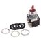 Allen-Bradley 800T Series 2-Position Selector Switch with LED Lamp