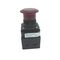 Allen-Bradley 800HFRXTQH2RA1 Red Illuminated Pushbutton