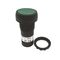 Allen-Bradley 800FDF3X11 Momentary Push Button Operator Green
