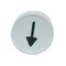 Allen-Bradley 800FAE108 Two-Color Molded Legend Cap Push Button