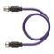 Allen-Bradley RSSWRKSW4552M Double Ended M12 Eurofast Cordset