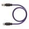 Allen-Bradley RSSWRKSW4552M Double Ended M12 Eurofast Cordset