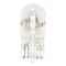 Glass Socket Bulb W21X95D | 24V | 5W Power Rating | Economical for Commercial Vehicles | @Pack of 10 | by Wurth