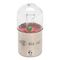 Metal Socket Bulb HD Longlife | 24V | 5W Power Rating | Vibration Resistant | @Pack of 10 | by Wurth