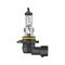Halogen Bulb 9006 HB4 | 12V DC | 3200K Color Temperature | 51W Power Rating | by Wurth