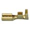 Blade Receptacle Uninsulated | Brass Material | Unsealed Design | Plain Surface Finish | @Pack of 25 | by Wurth