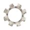 Serrated Washer DIN 6797 A2 | Externally Serrated Design | RoHS Compliant | @Pack of 50 | by Wurth