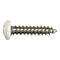 Self-Tapping Screw | Pan Head | Stainless Steel A2 | Lacquered Finish | @Pack of 100 | by Wurth