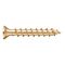 Piano Hinge Screw | Brass Plated | Full Thread & Small Countersunk Head | by Wurth