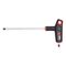 T-handle 2-component Hex Key with Side Drive | Chrome Plated | Ergonomic Design | 6 mm Tip Size | by Wurth