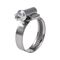 Hose Clamp with Asymmetrical Lock | 10 PCS | Ferritic Steel | Zinc Plated Screw | by Wurth