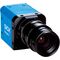 V3DR3-80CT31111