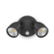 Hawk 12W Twin LED Security Spotlight - IP65 - Black