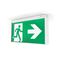 Ektor Mercury 40M Jumbo emergency LED exit - PRO - Black