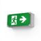 Boxit Pro IP65 Wallmount Exit Light - 24M