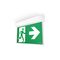 Ektor Lynk Razor Surface Mount Advanced Emergency Exit - 24M - W/Wireless