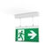Ektor Lynk Slimblade Advanced Surface Pendant Exit light 24M - Black - W/Wireless