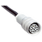 DOL-0612G50M075KM0 | Connectors and cables