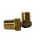 Brass Plug 1/2 MBSP