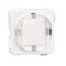 Plug Remove Identification White