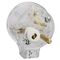 Plug Top Side Entry Light