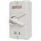 3 pole 63 A Isolator Large