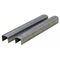 STAPLES, 12mm GALV SUITS STCR5019 [5000]