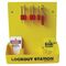 LOCKOUT STATION KIT, WALLMOUNT BASIC, WITH LID FOR 5 LOCKS