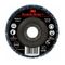 DISK, CLEAN AND STRIP. EXTRA COURSE GRAIN 115 x 22mm (10)