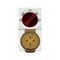 Combination Switched Socket IP66 50A 500V ac 4 Pin Chemical Resistant White