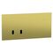 Switch Grid and Cover Horiz 2G