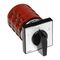 Changeover Switch 2Pole | 63A Rated Current | IP20 Indoor Use | @Pack of 1 | by Clipsal