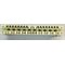 10 Way Disconnection Module with Screw Terminals 250V AC Repelec