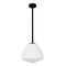 Pendant Light ES Dome Glass Matt Black Frosted 280mm CLA Lighting