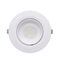 LED Downlight Snorkel 28W/38W Tri-Colour White 165mm CLA Lighting
