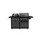 Revolution Dual Fuel BBQ Black Gloss Coleman