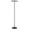 Floor Lamp LED 12W 3000K Dimmable Brass Matt Amber Amity Telbix