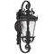 Outdoor Wall Light E27 IP44 490mm Black Clear Pedral Telbix