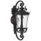 Outdoor Wall Light E27 IP44 540mm Black Clear Pedral Telbix