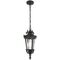 Pendant Light E27 IP44 180mm Bronze Clear Pedral Telbix