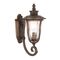 Outdoor Wall Light E27 IP44 400mm Bronze Clear Ramiro Telbix