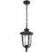 Pendant Light E27 IP44 200mm Black Clear Ramiro Telbix
