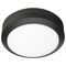 Kensley 10W Bunker Light 4000K Black Brilliant Lighting