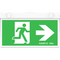 'Exit and Emergency Lighting Maintenance Logbook Haneco'