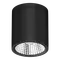 Neo-Pro Surface Mount DALI LED Downlight 13W IP65 Black Domus