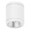 Neo-Pro Surface Mount DALI LED Downlight 13W IP65 White Domus