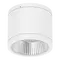 Neo-Pro Surface Mount DALI LED Downlight 25W IP65 White Domus